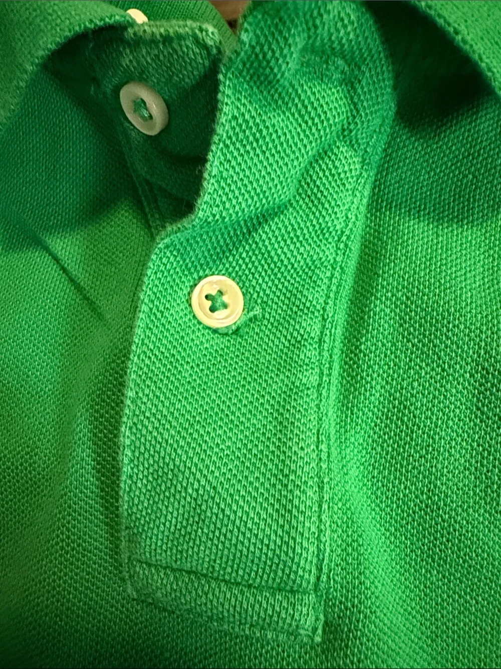 Polo by Ralph Lauren Green Kids Polo with Navy Pony